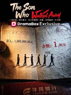 The Son Who Walked Away poster