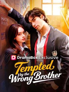 Tempted by the Wrong Brother poster