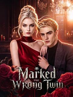 Marked the Wrong Twin poster